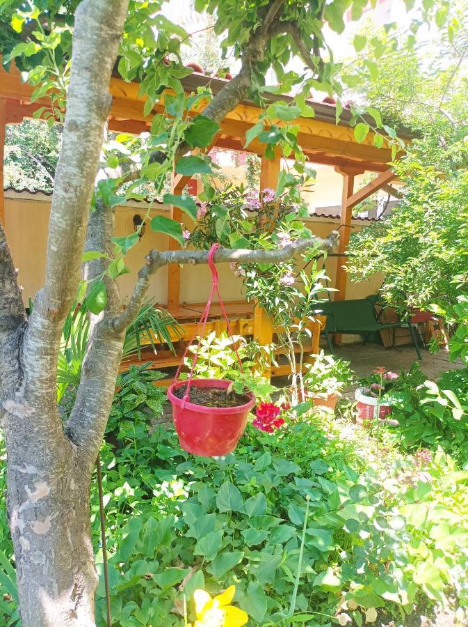 Kiki - Family Apartment Primorsko Zewnętrze zdjęcie